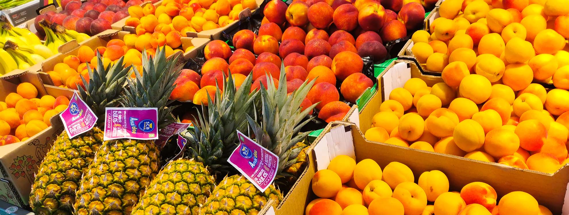 Frisches Obst vom Markt auf den Bild sind Südfrüchte abgebildet
